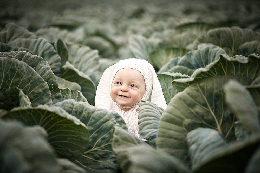 Кто нашёл меня в капусте )