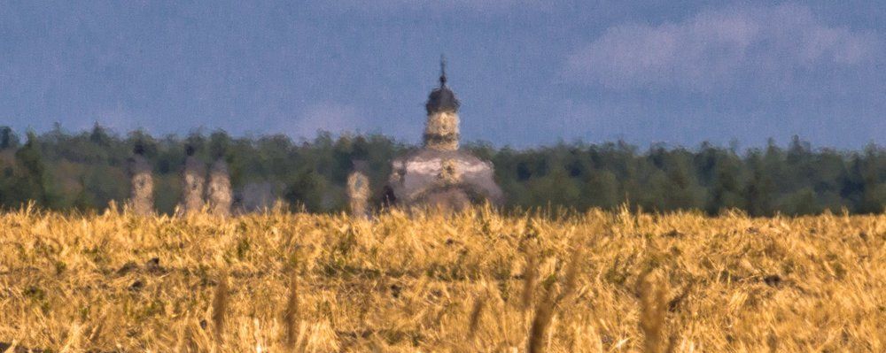 Памяти бабушки Калисты Дмитриевны