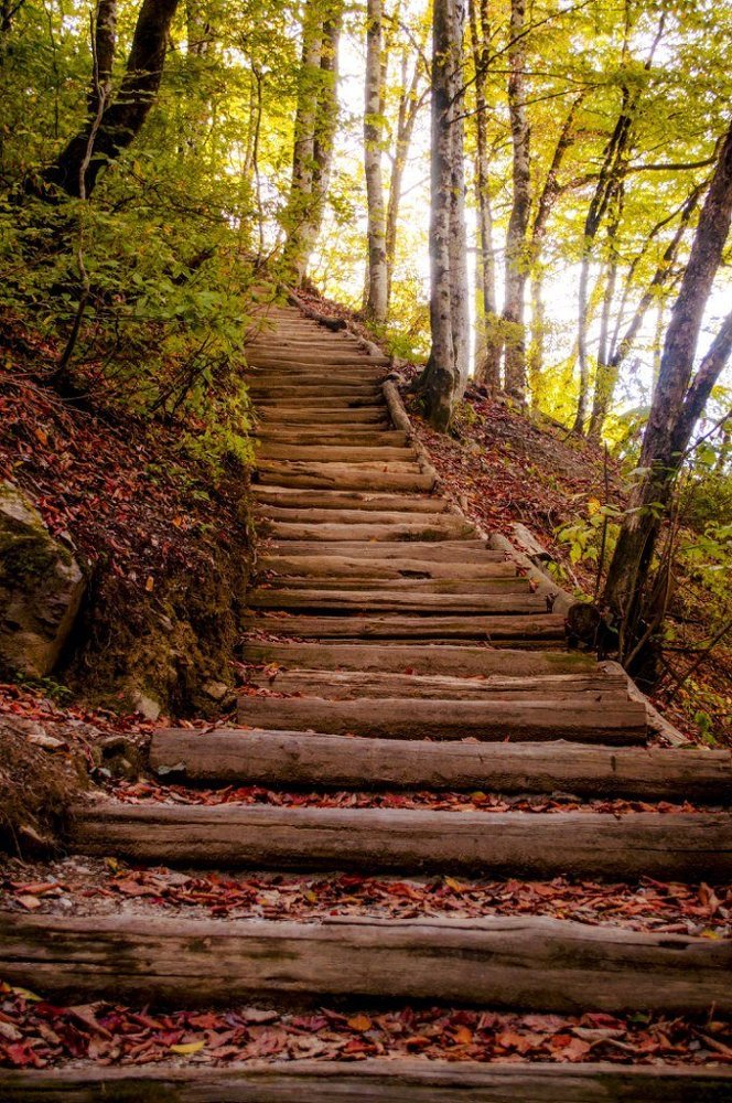 Тропа здоровья