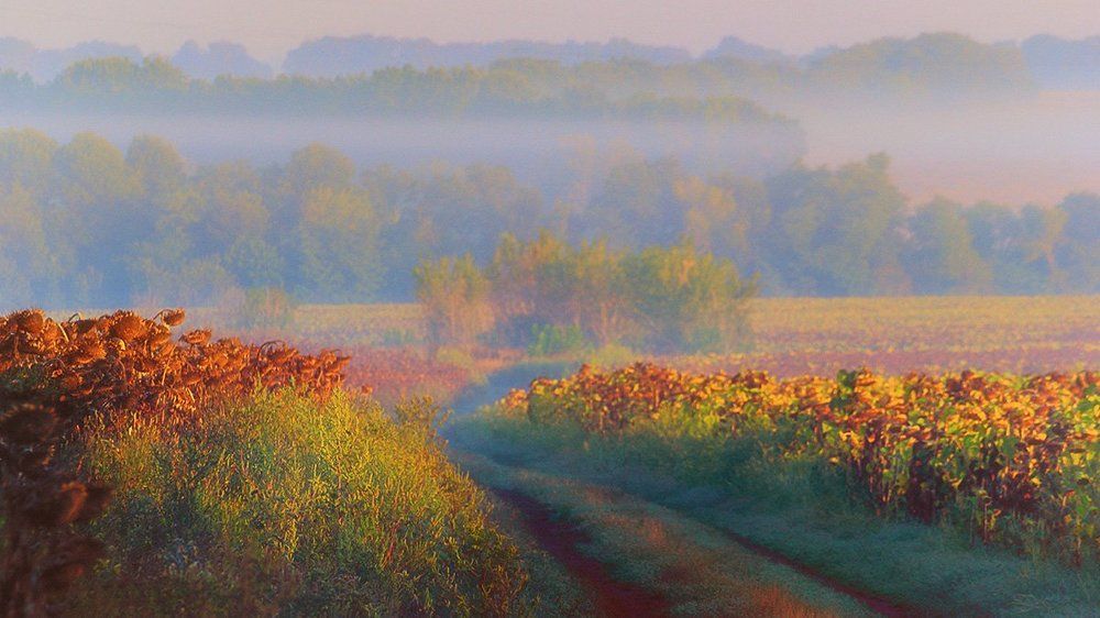 Краски осени