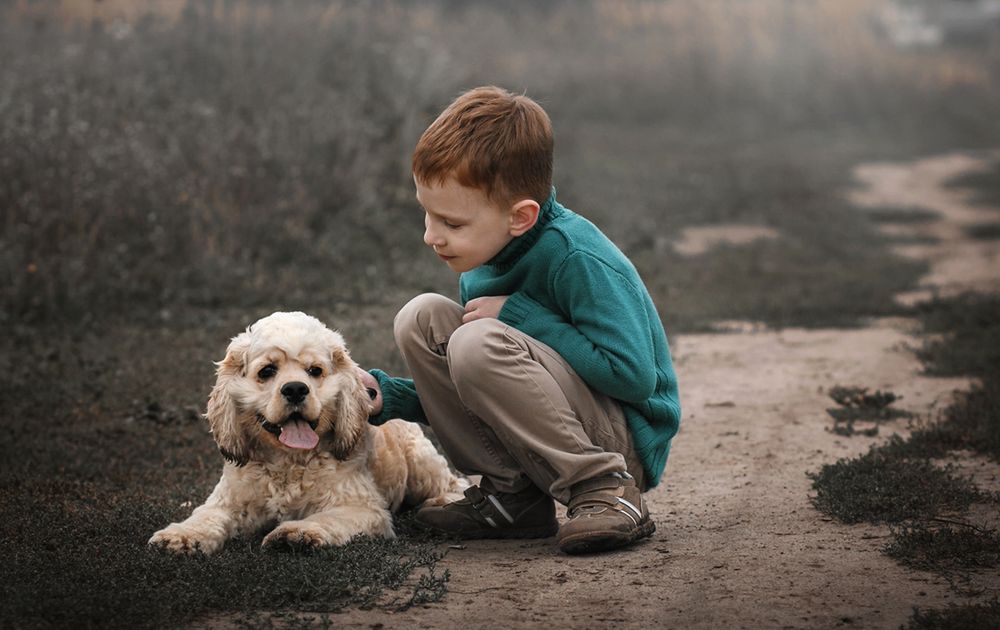 Давай дружить!