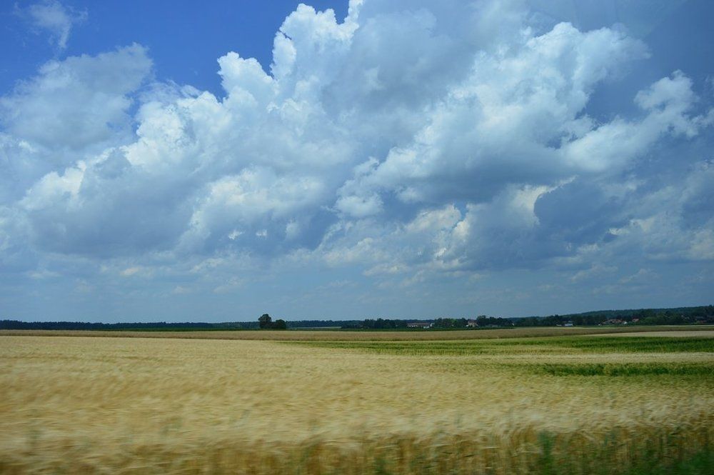 За окном автомоблия