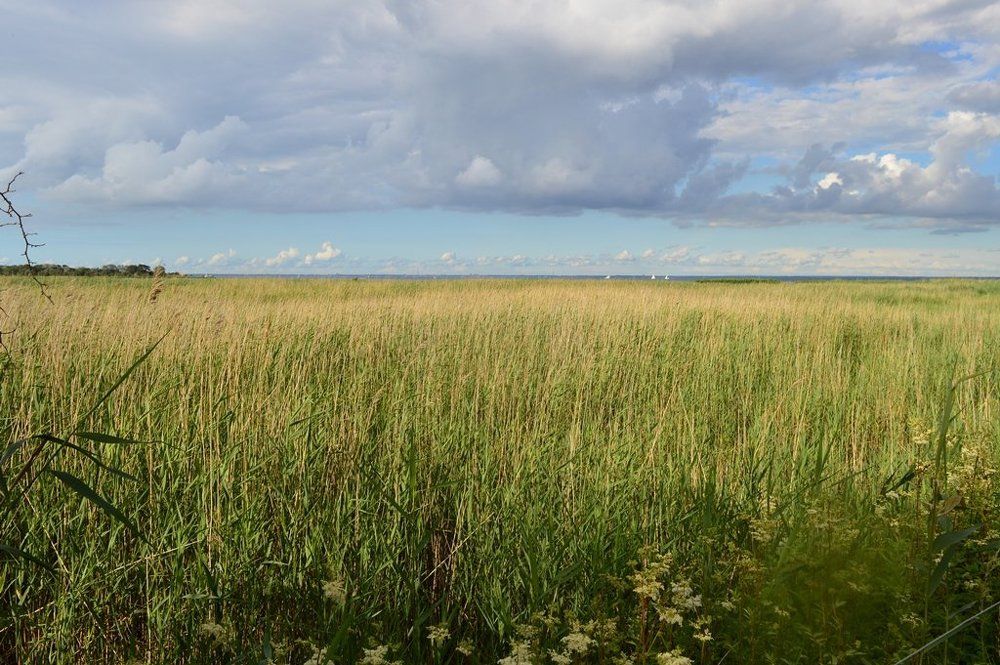 Просторы заповедные