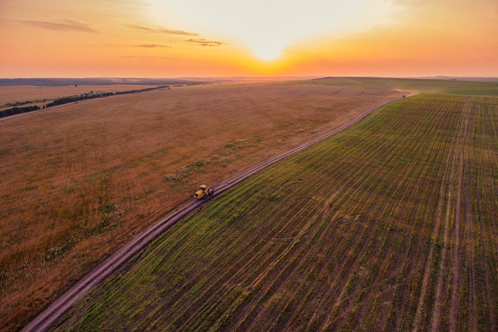 Бескрайние поля