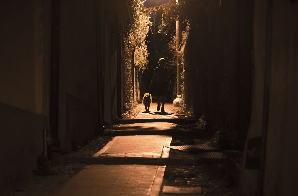 ночная прогулка