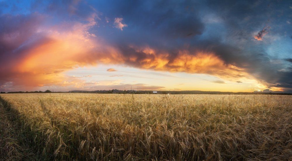 Русское Поле