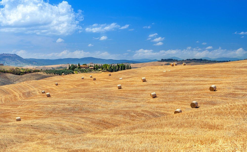 Время сбора урожая