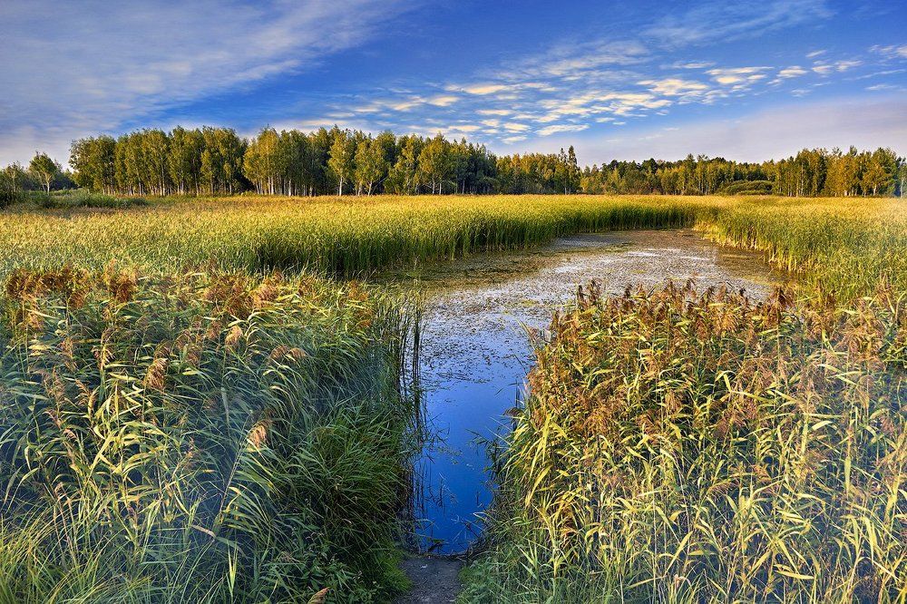 Photograph by Александр Кобелюк