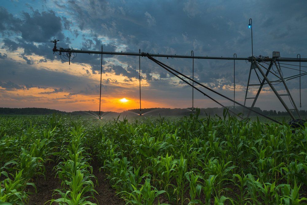 Все для роста...