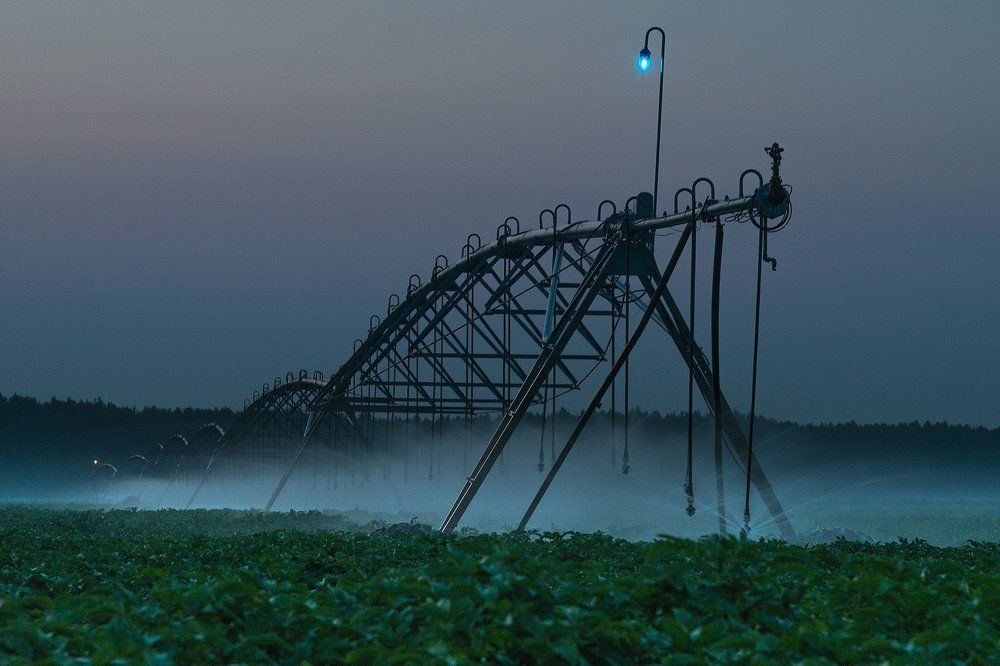 На службе у человека