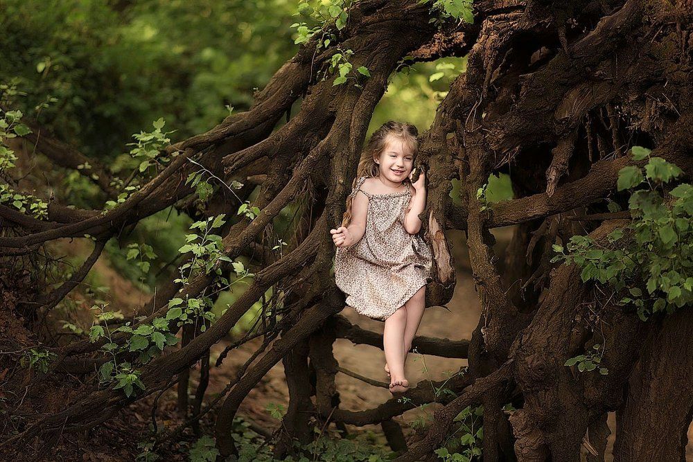 Алиса в стране чудес