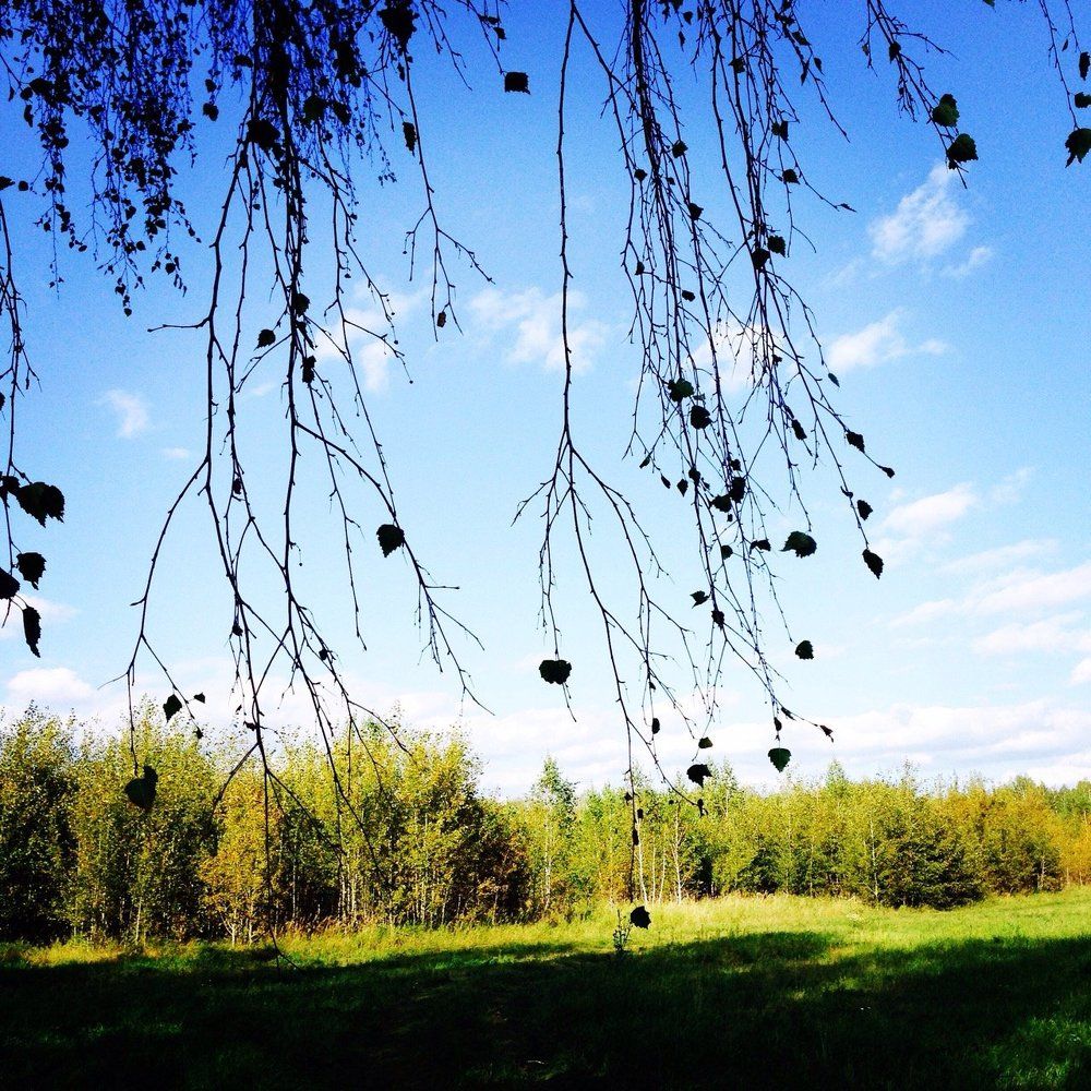 Ранняя осень
