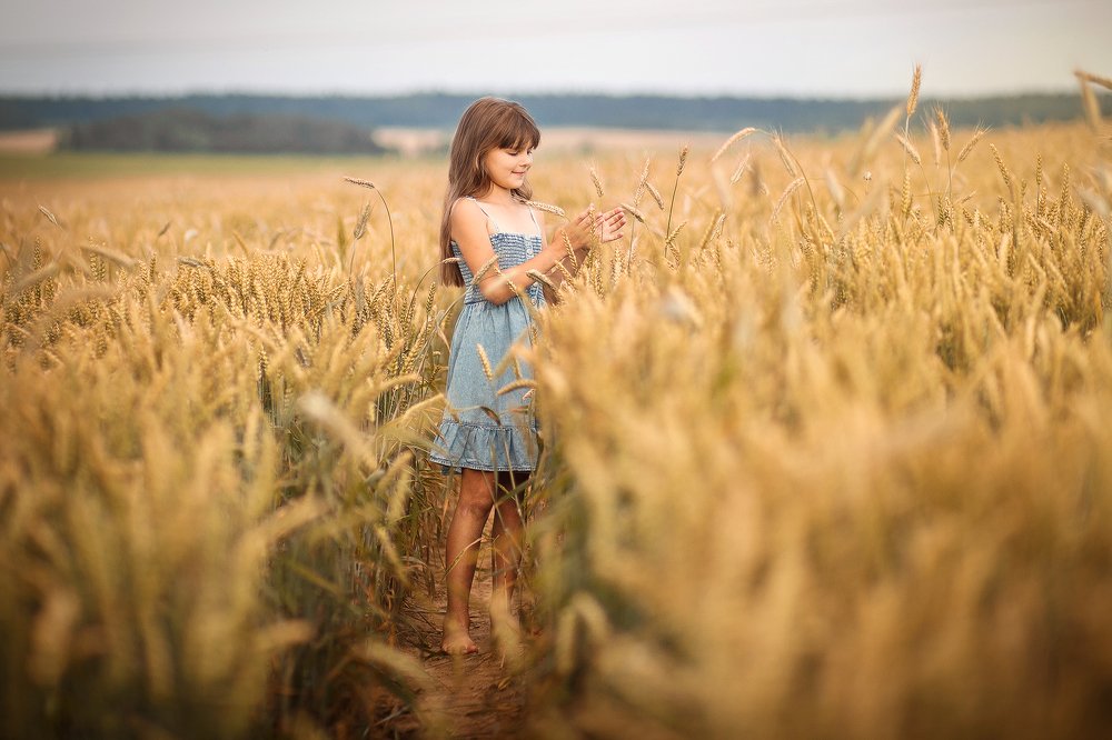 Щедрость полей белорусских.