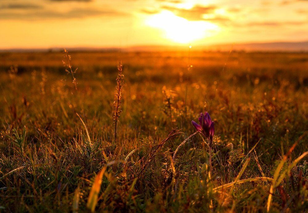 Photograph by Татьяна Никитина