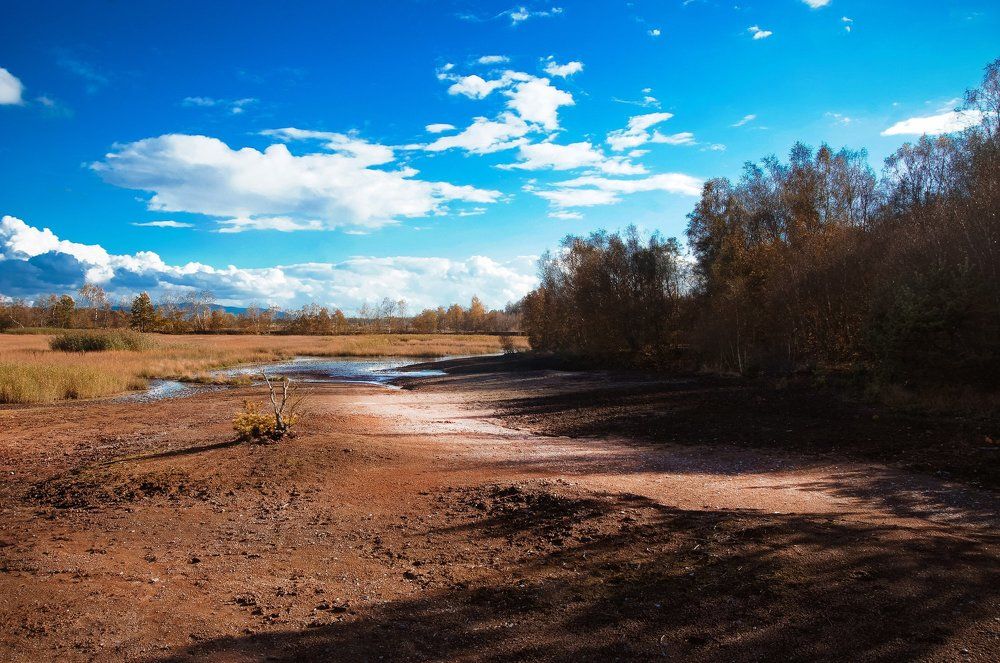 На пути к торфяникам