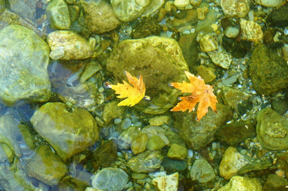 "Двое в сентябре"...