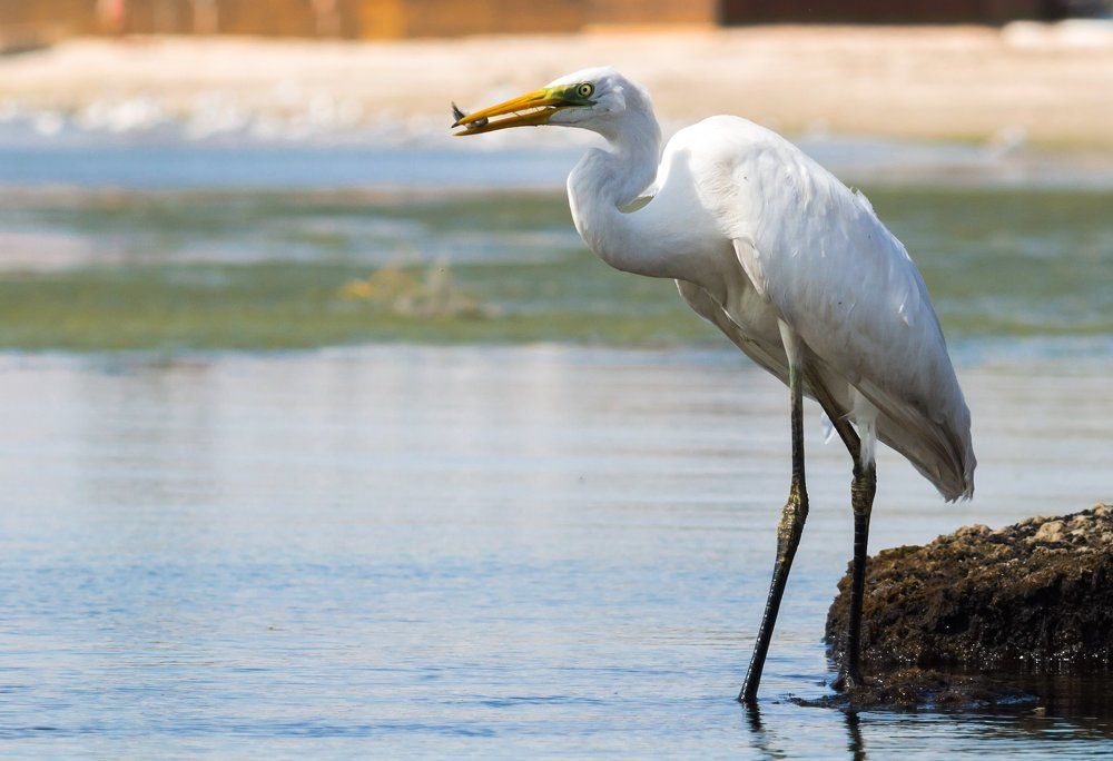 Photograph by Katerina Berezina