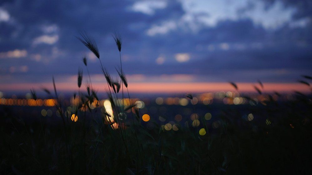 Вечерний город