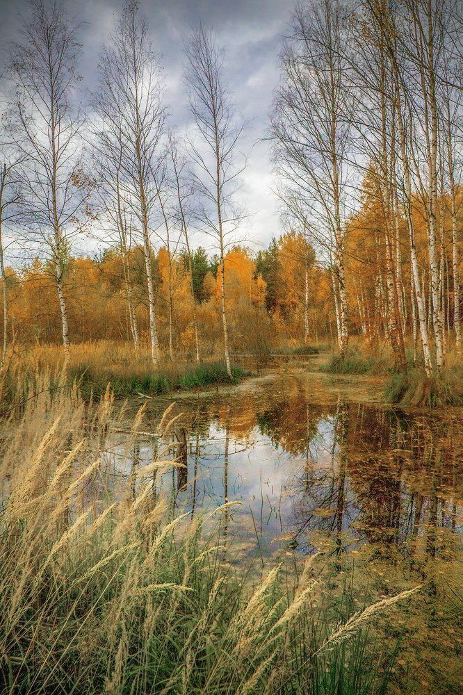 Не погасить дождём пламя осени.
