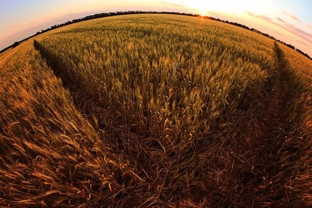 На перекрестке