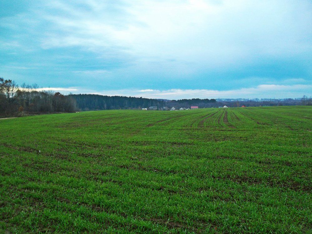 Photograph by Наталья Цуран