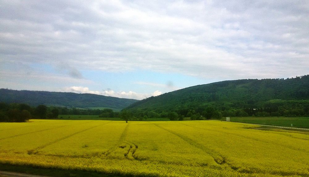 Photograph by Наталья Цуран