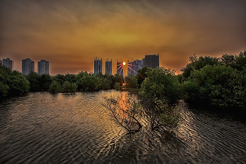 Reflection colour of sunset