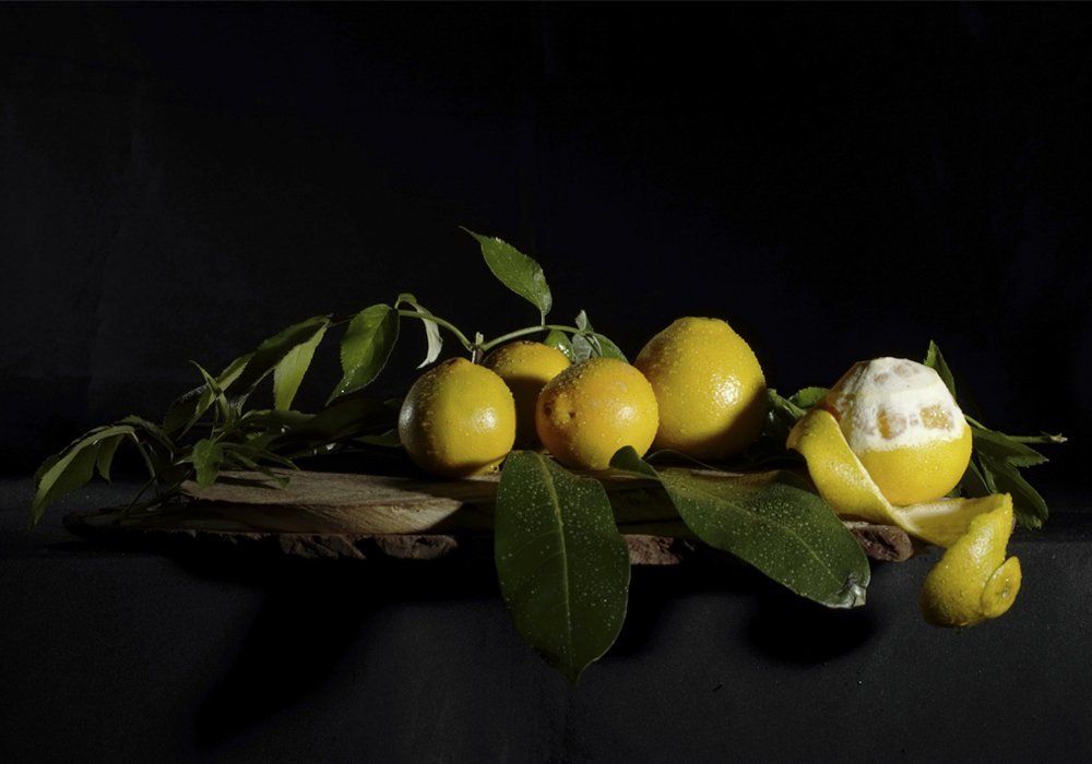 Frescura en claro oscuro