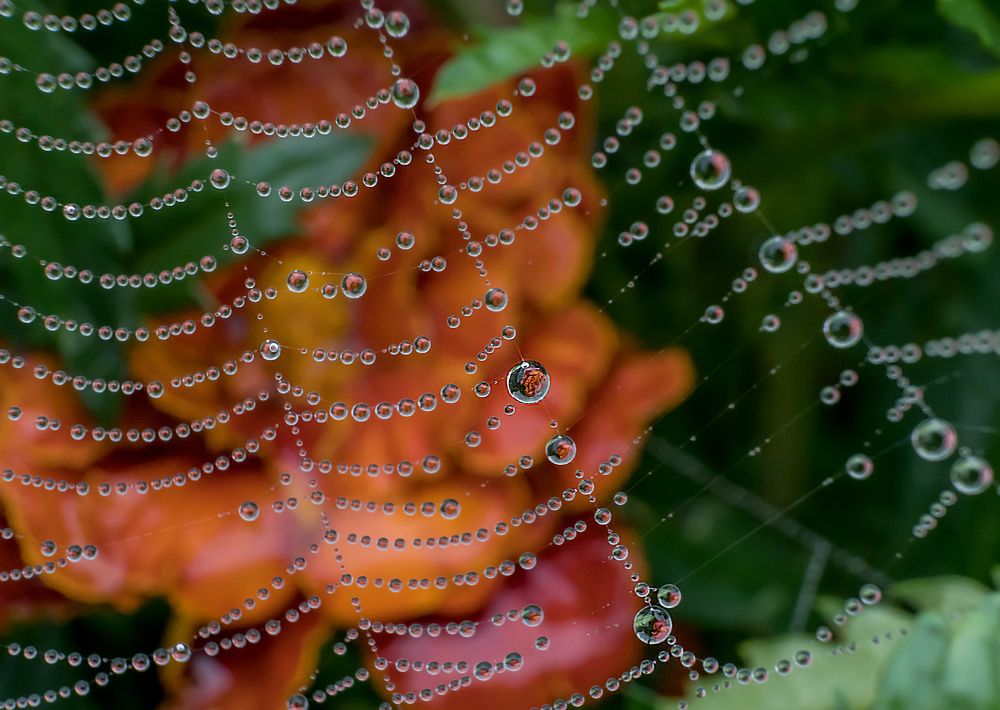 После дождя