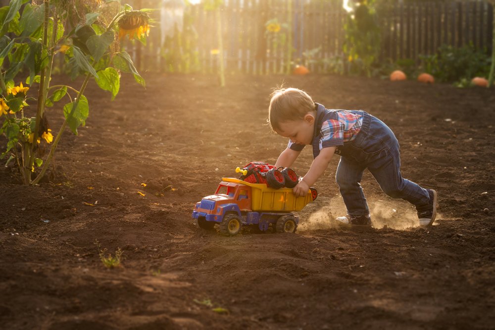 Ралли на грядке
