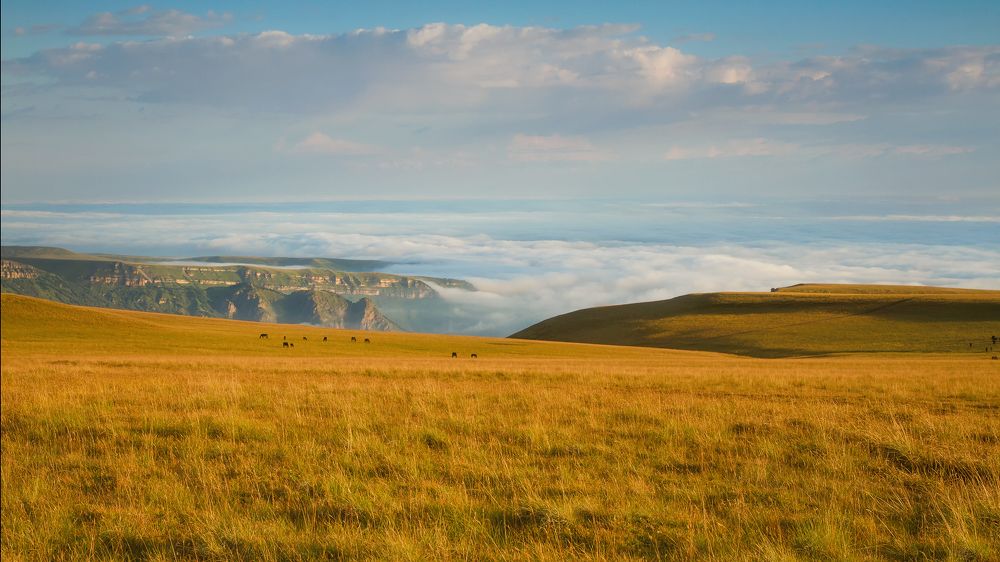 Плато Большой Бермамыт