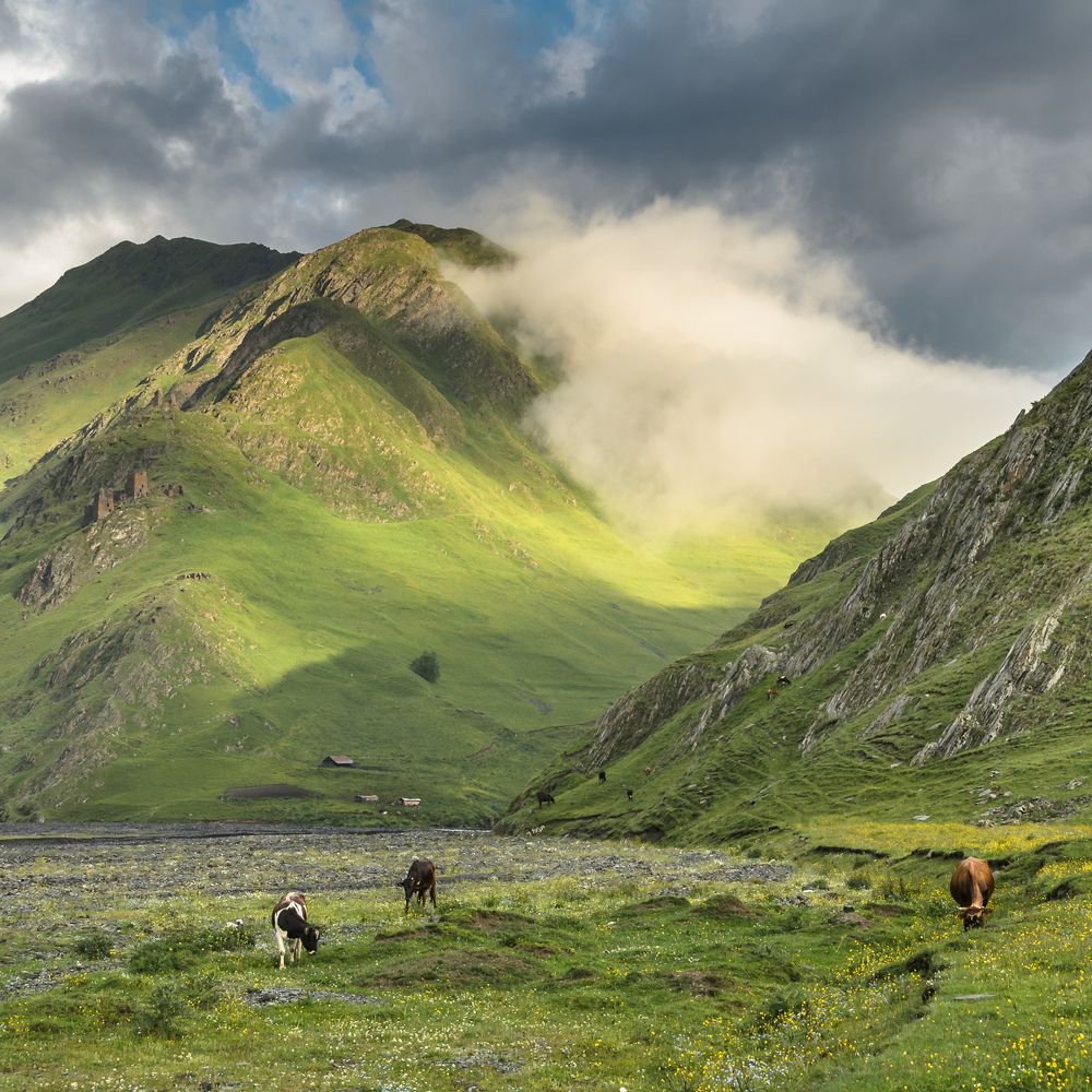 Photograph by Виталий