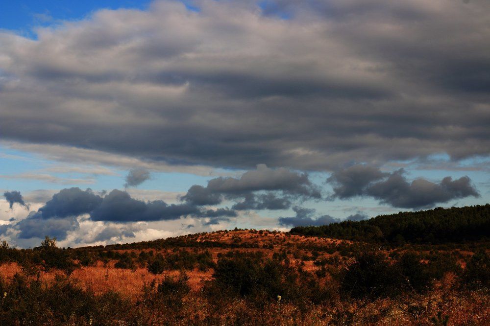 "Осень пришла"