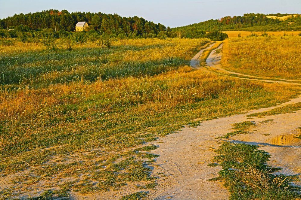 Дорога к дому