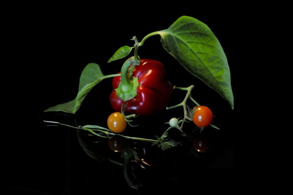 Фотография автора KĘSTUTIS SUKACKAS