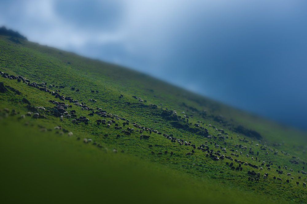 Photograph by Aleksandr