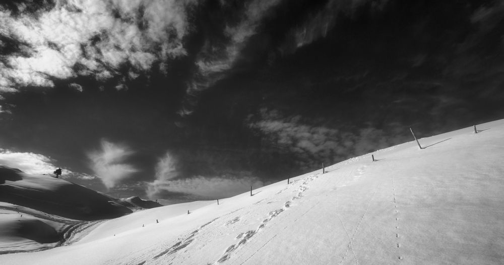 .. the snowy desert ..