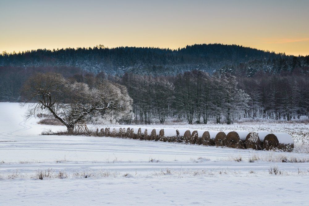 Winter field