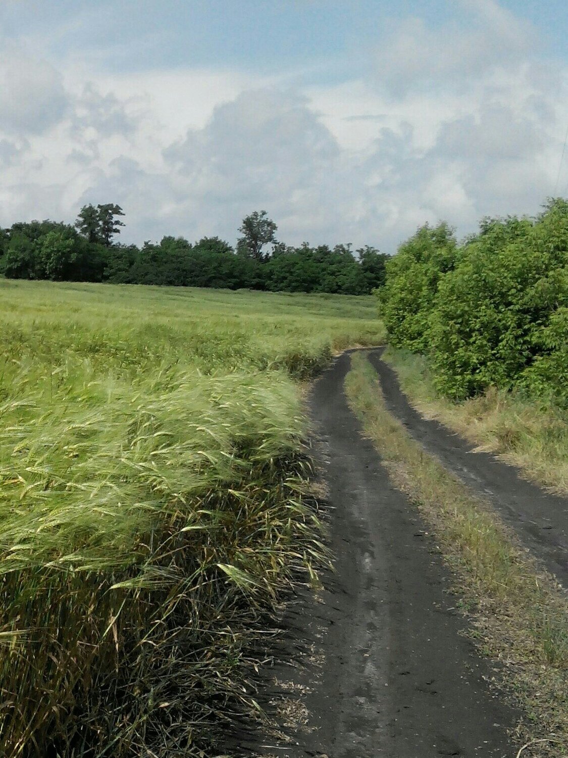 Невозможно забыть
