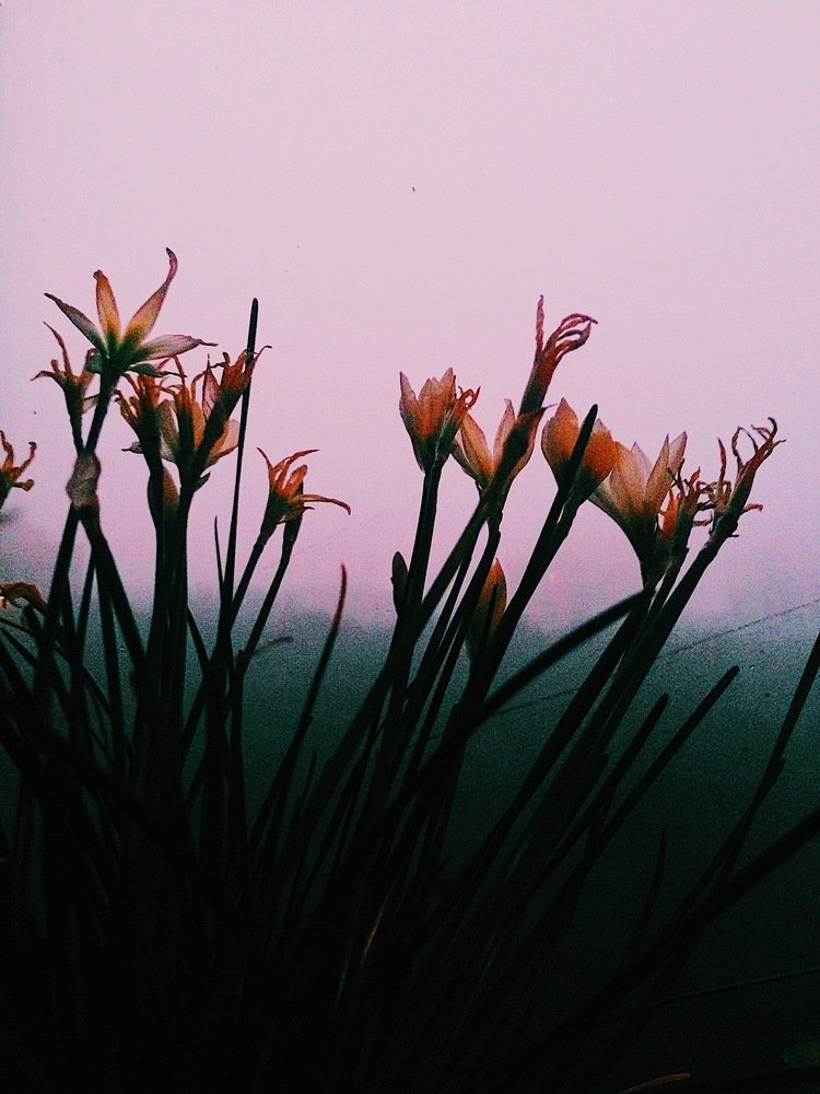 Photograph by Анастасия Козлова