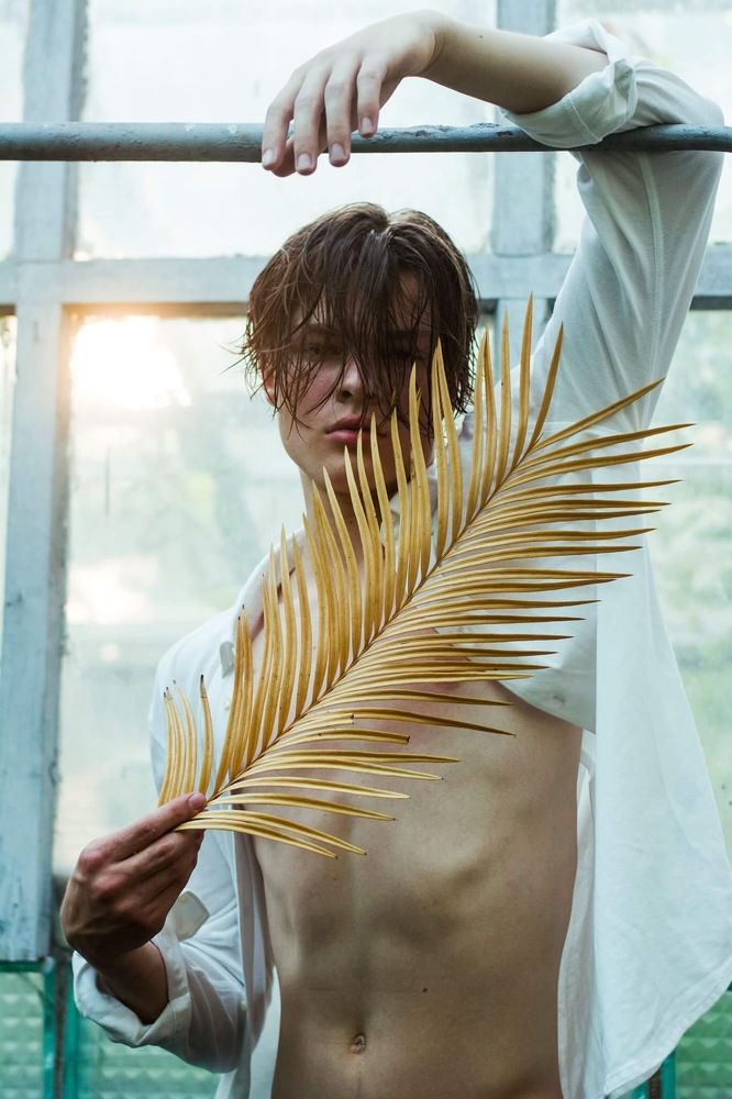 Золотой листок