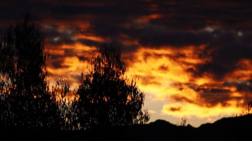 Photograph by Francisco Pesántez