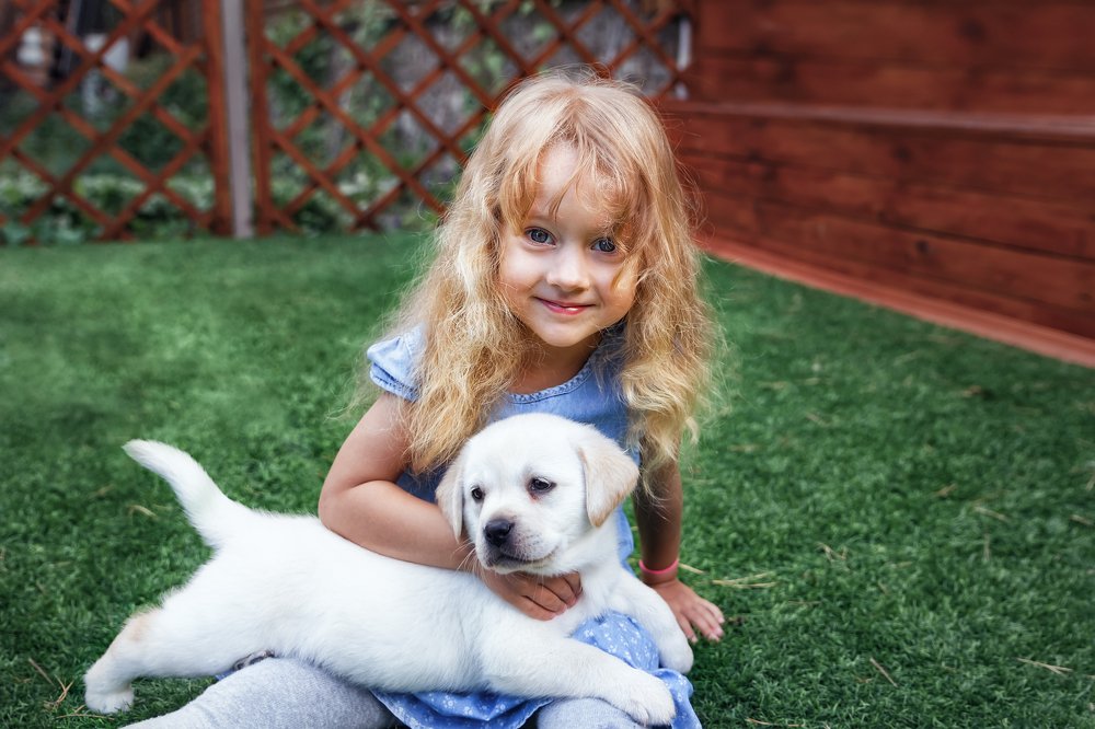 мой белоснежный друг