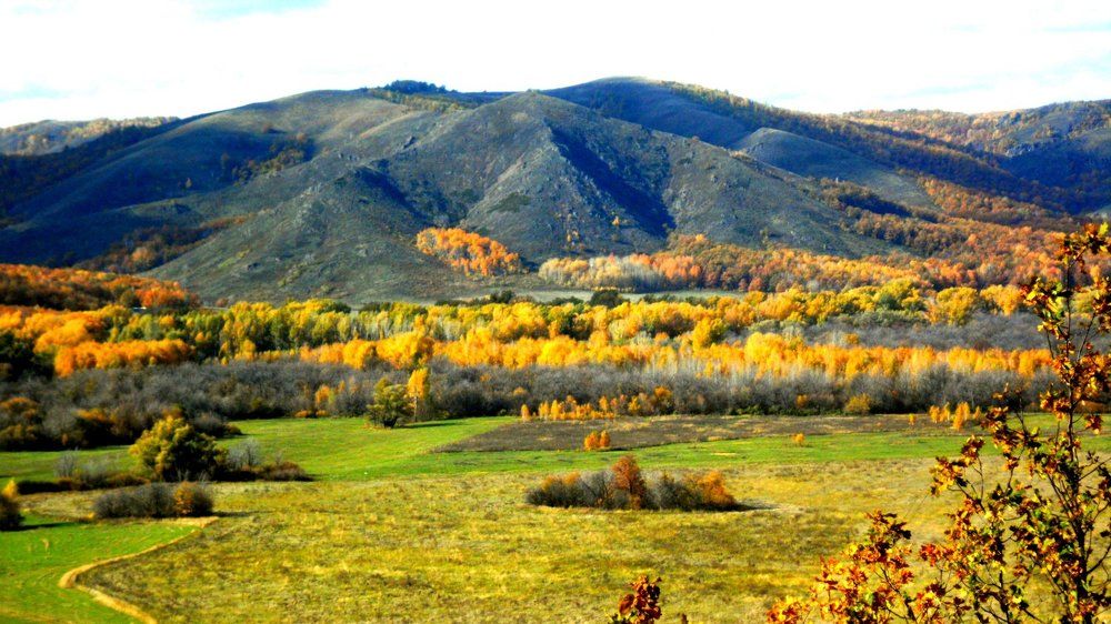 Все краски осени