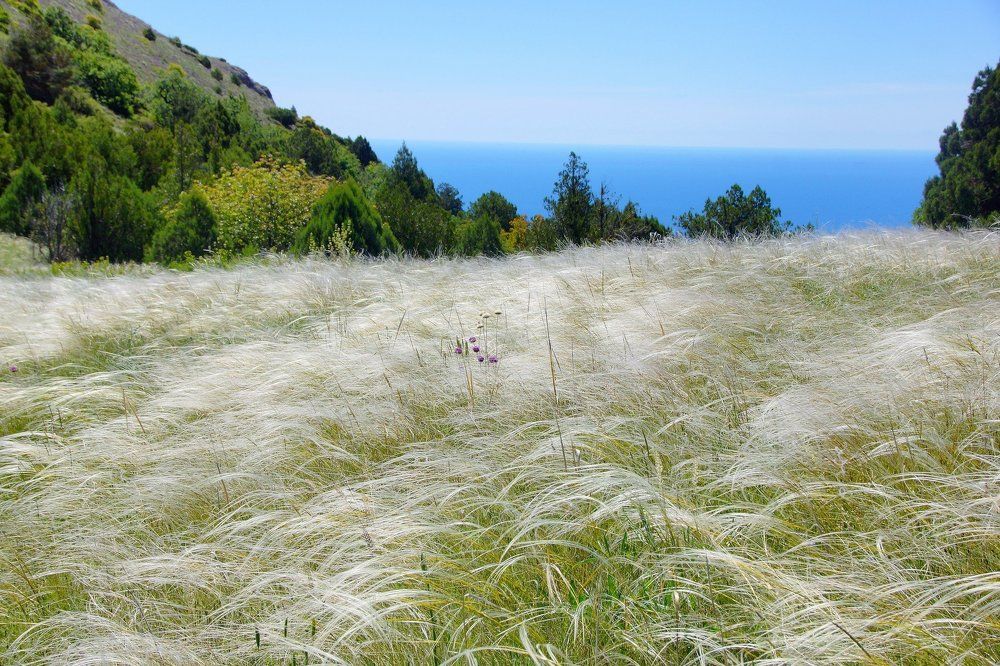 Photograph by вадим аврахов