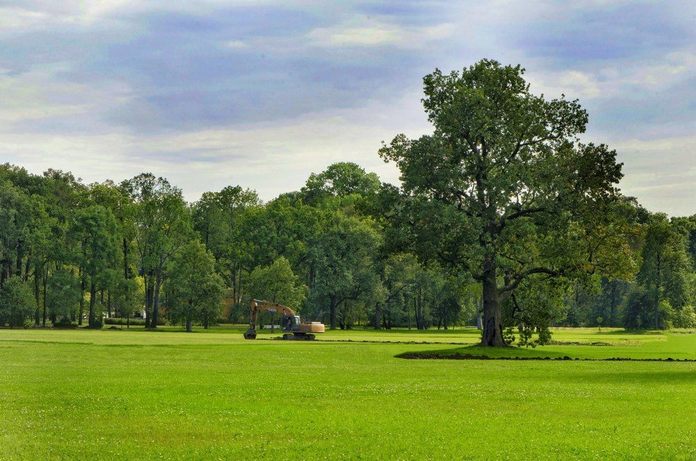 Photograph by Алексей Фомичев