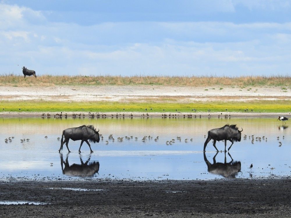 Photograph by Sanjay Shinde