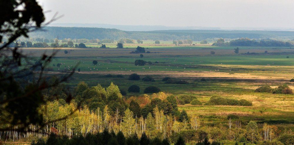 долина реки Жиздра