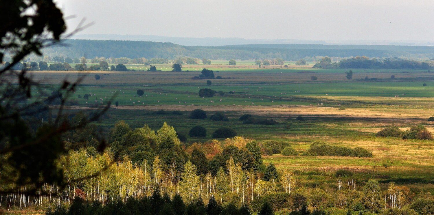 долина реки Жиздра