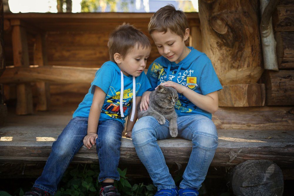 Photograph by наталия тактаулова